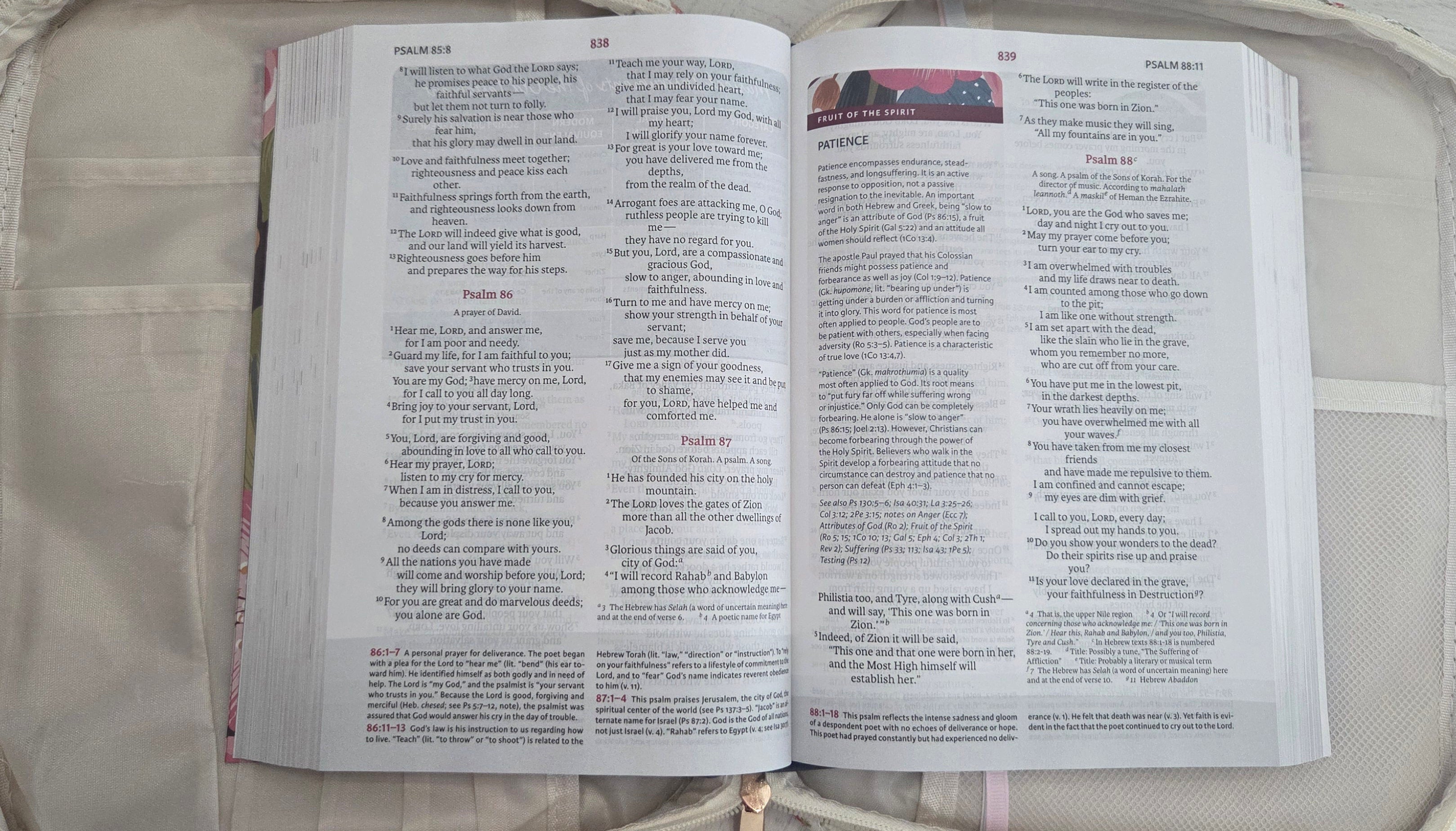 Blue Belle Bible Cover